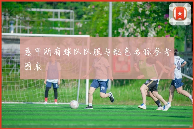 意甲所有球队队服与配色名称参考图表