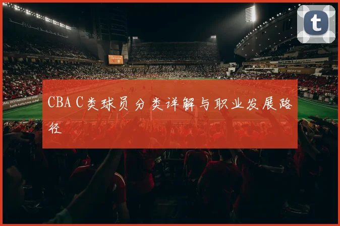 CBA C类球员分类详解与职业发展路径